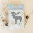 Load image into Gallery viewer, Woodland Fresh Scents holiday 3pk scented sachet flat lay with pine cones and antler
